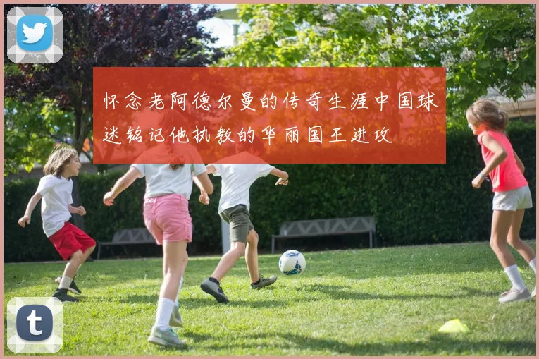 怀念老阿德尔曼的传奇生涯中国球迷铭记他执教的华丽国王进攻