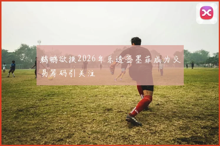 鹈鹕欲换2026年乐透签墨菲成为交易筹码引关注